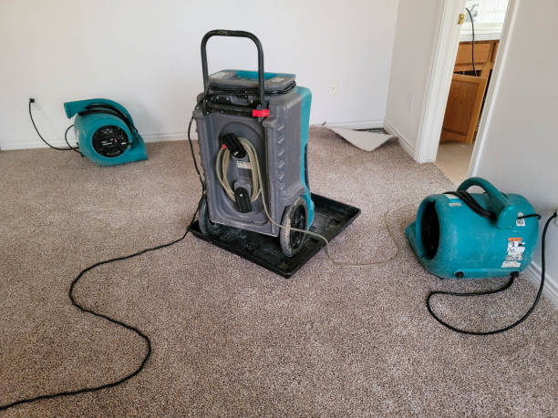 Best Flood damage cleanup  in Esperance, WA