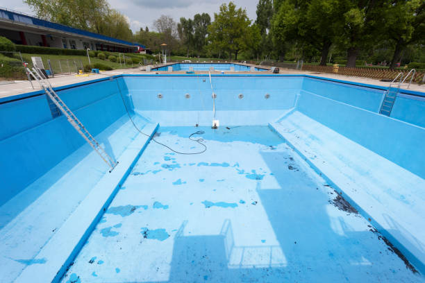 Best Mold removal after water damage  in Esperance, WA