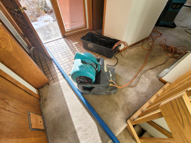 Best Water damage restoration insurance claims  in Esperance, WA