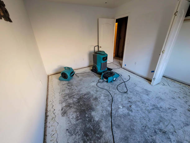 Water damage restoration mold remediation in Esperance, WA