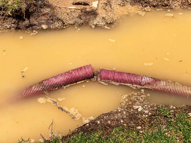 Best 24-hour water damage restoration  in Esperance, WA