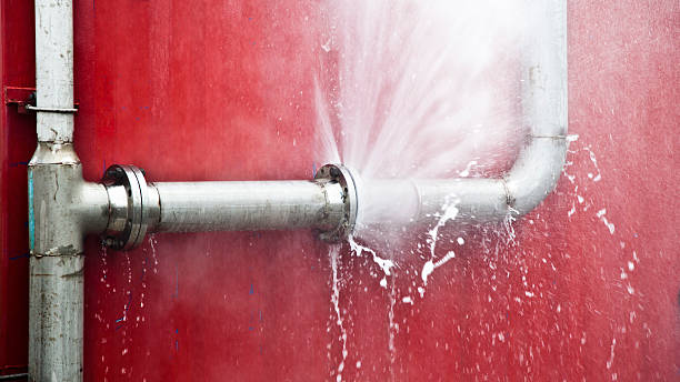  Esperance, WA Water damage restoration Pros